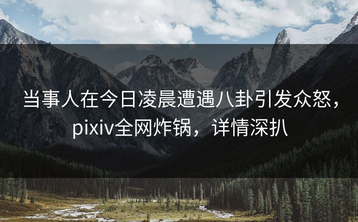 当事人在今日凌晨遭遇八卦引发众怒，pixiv全网炸锅，详情深扒