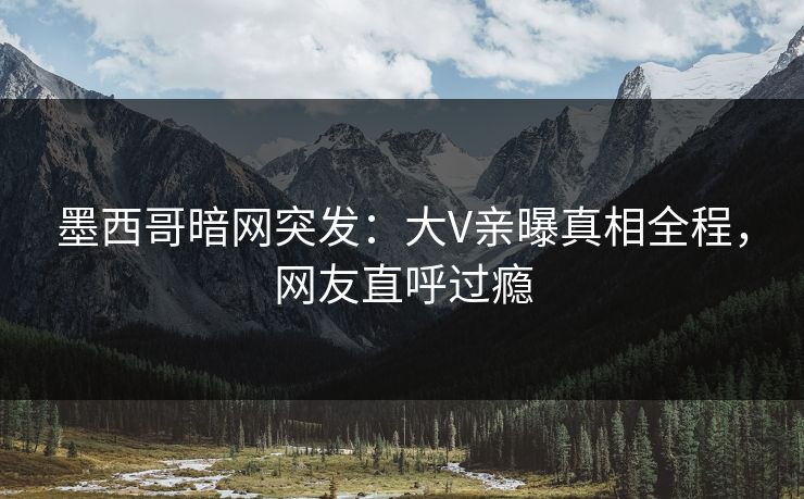 墨西哥暗网突发：大V亲曝真相全程，网友直呼过瘾