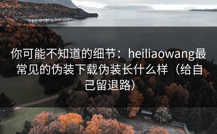 你可能不知道的细节：heiliaowang最常见的伪装下载伪装长什么样（给自己留退路）