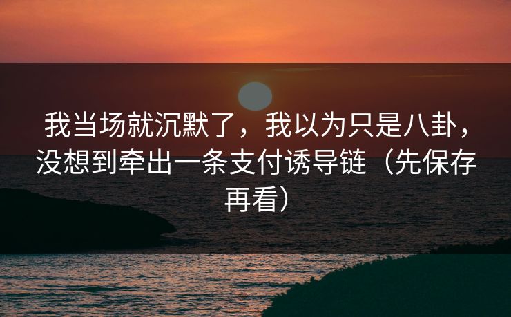 我当场就沉默了，我以为只是八卦，没想到牵出一条支付诱导链（先保存再看）