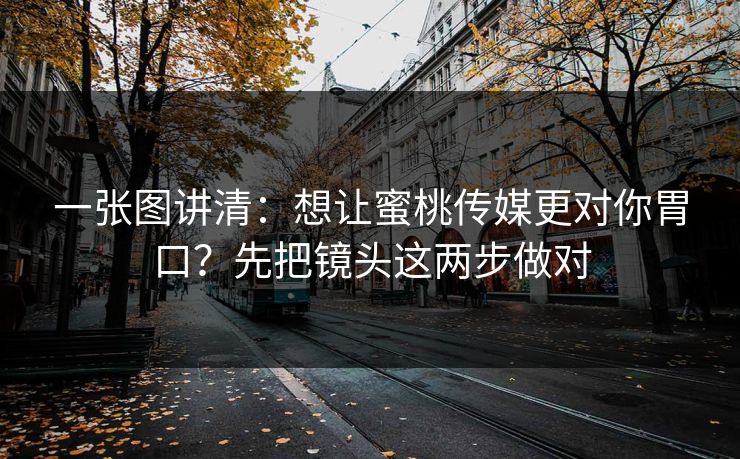 一张图讲清：想让蜜桃传媒更对你胃口？先把镜头这两步做对