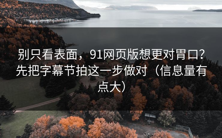 别只看表面，91网页版想更对胃口？先把字幕节拍这一步做对（信息量有点大）